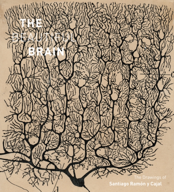 The Beautiful Brain : The Drawings of Santiago Ramon y Cajal, Hardback Book
