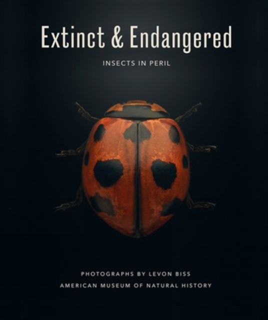 Extinct & Endangered : Insects in Peril, Hardback Book