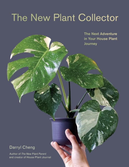 The New Plant Collector : The Next Adventure in Your House Plant Journey, Paperback / softback Book