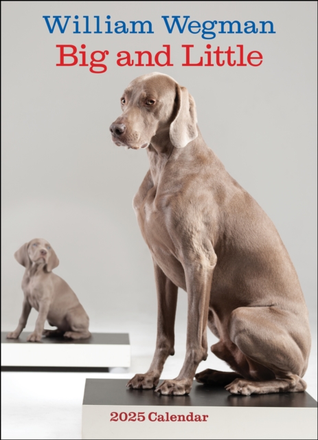 William Wegman Big and Little 2025 Wall Calendar, Calendar Book