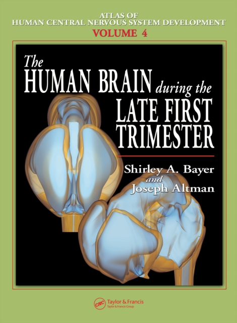 The Human Brain During the Late First Trimester, PDF eBook