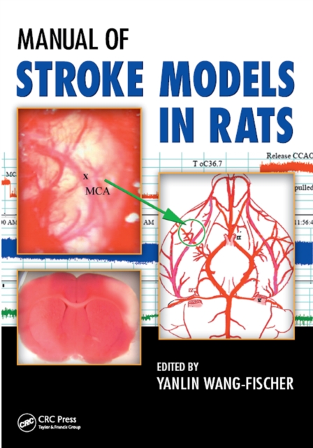 Manual of Stroke Models in Rats, PDF eBook