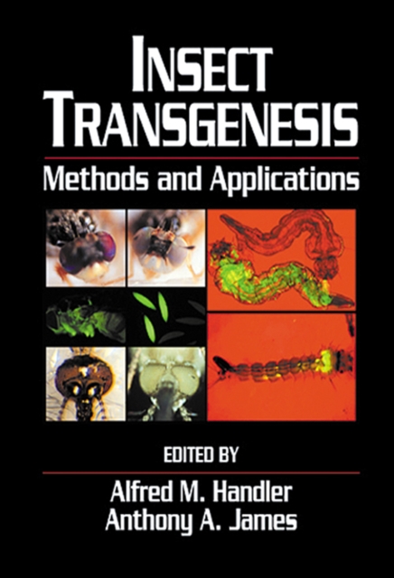 Insect Transgenesis : Methods and Applications, PDF eBook