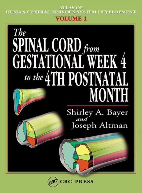 The Spinal Cord from Gestational Week 4 to the 4th Postnatal Month, PDF eBook