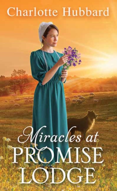 Miracles at Promise Lodge, Paperback / softback Book