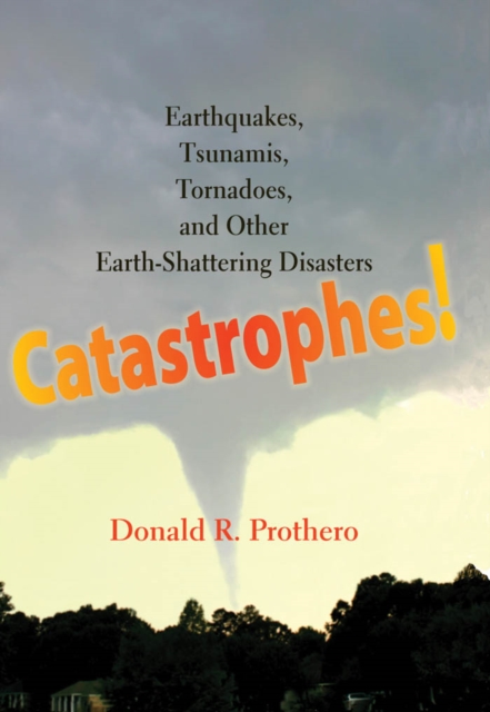 Catastrophes!, EPUB eBook