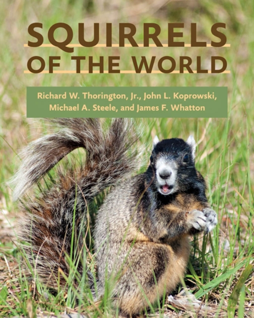 Squirrels of the World, EPUB eBook