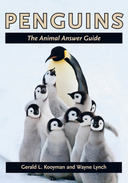 Penguins, EPUB eBook