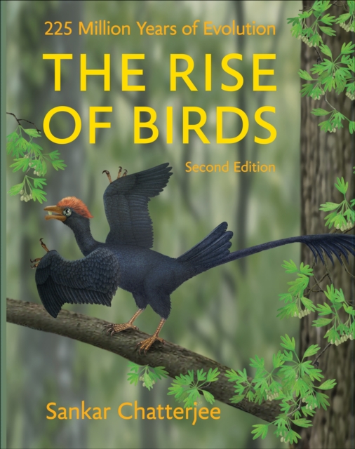 The Rise of Birds, EPUB eBook
