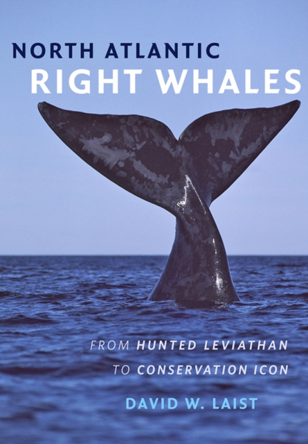 North Atlantic Right Whales, EPUB eBook