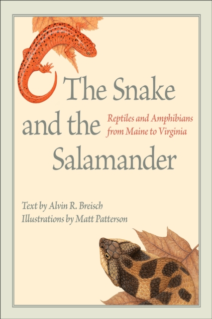 The Snake and the Salamander : Reptiles and Amphibians from Maine to Virginia, EPUB eBook