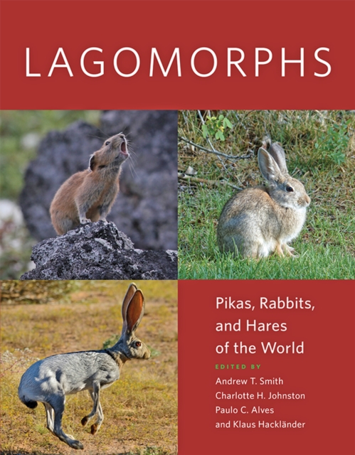 Lagomorphs, EPUB eBook
