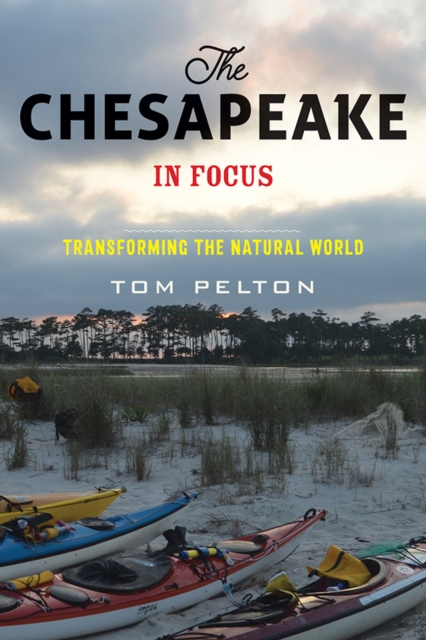 The Chesapeake in Focus, EPUB eBook