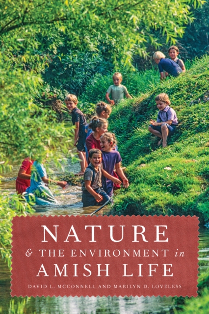 Nature and the Environment in Amish Life, EPUB eBook