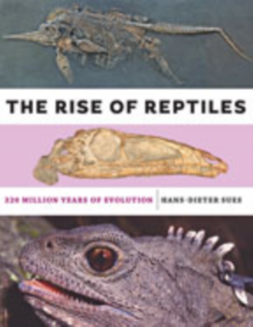 The Rise of Reptiles : 320 Million Years of Evolution, Hardback Book