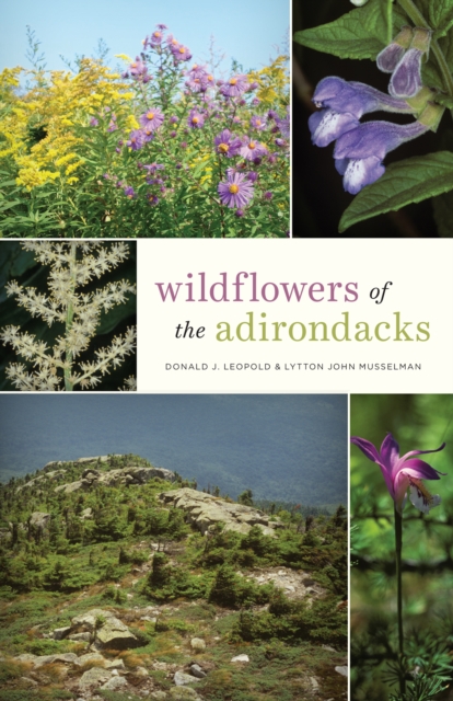 Wildflowers of the Adirondacks, EPUB eBook