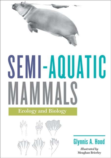 Semi-aquatic Mammals : Ecology and Biology, Hardback Book