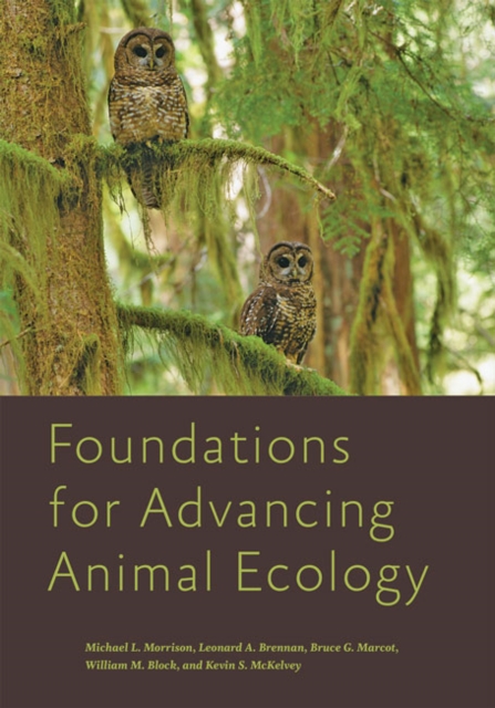 Foundations for Advancing Animal Ecology, Hardback Book