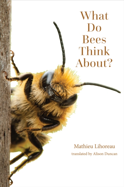 What Do Bees Think About?, EPUB eBook