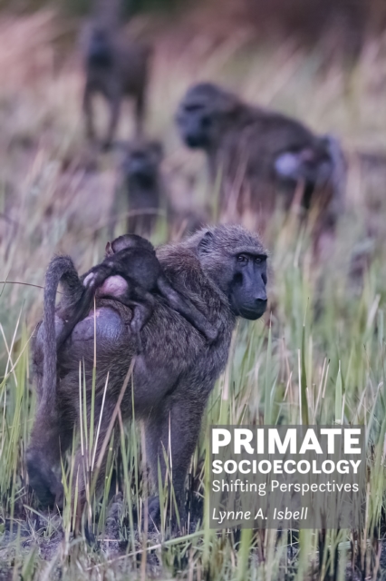 Primate Socioecology : Shifting Perspectives, Hardback Book