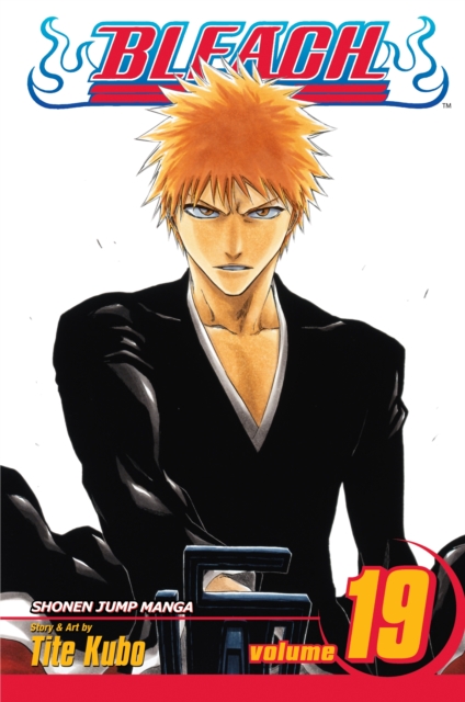 Bleach, Vol. 19, Paperback / softback Book