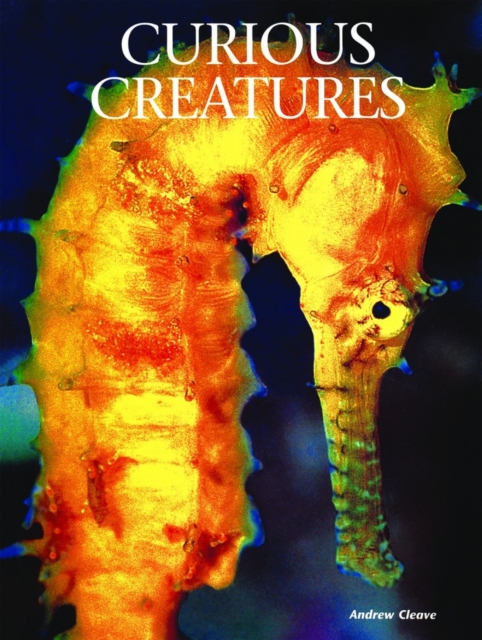 Curious Creatures, Hardback Book