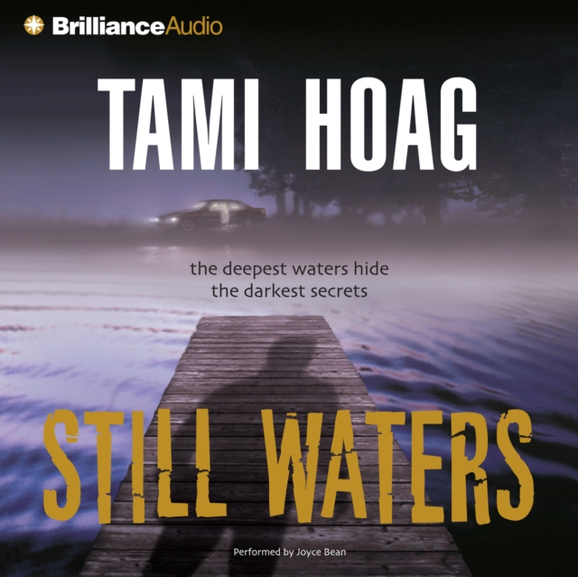 Still Waters, eAudiobook MP3 eaudioBook