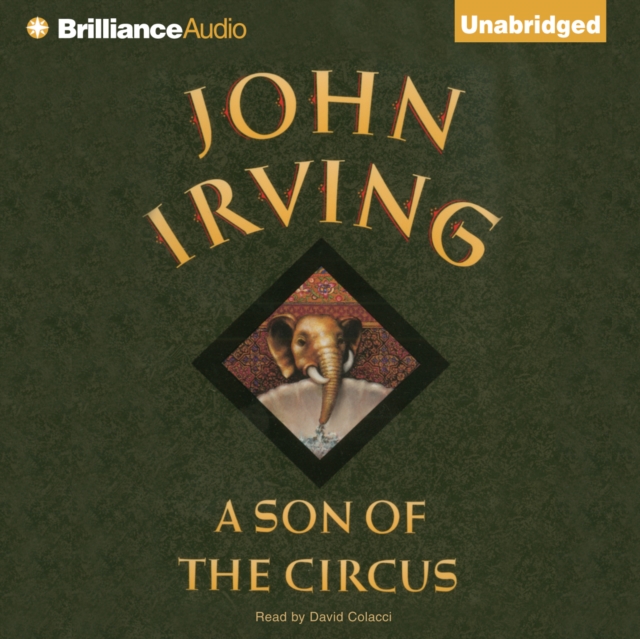 A Son of the Circus, eAudiobook MP3 eaudioBook