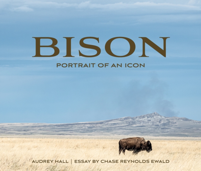Bison : Portrait of an Icon, EPUB eBook