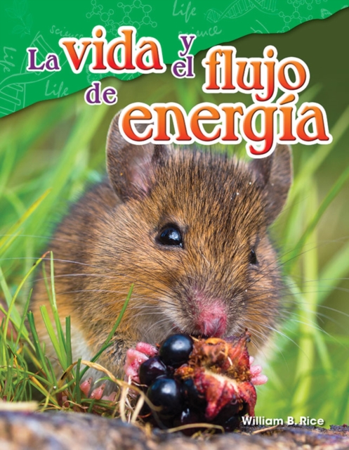 vida y el flujo de energia, PDF eBook