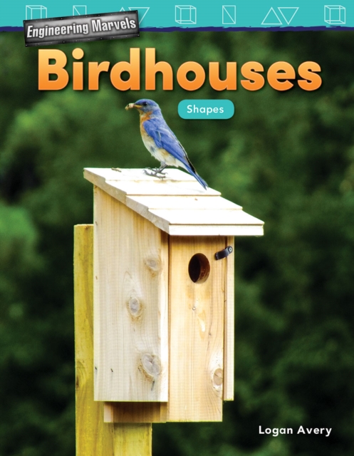 Engineering Marvels : Birdhouses: Shapes Read-Along eBook, EPUB eBook