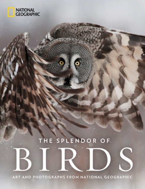 The Splendor of Birds : Art and Photography From National Geographic, Hardback Book