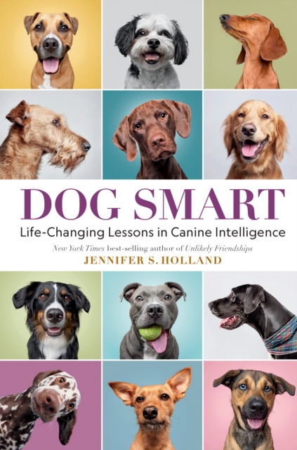 Dog Smart : Life-Changing Lessons in Canine Intelligence, Hardback Book
