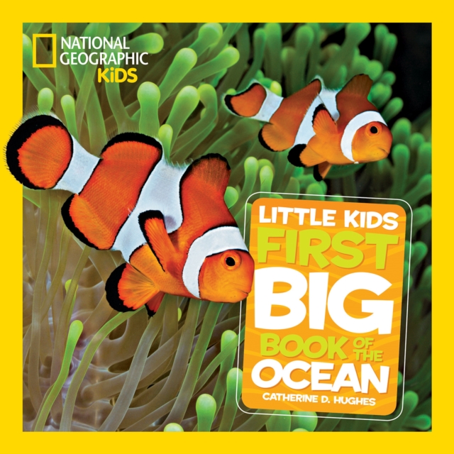 Little Kids First Big Book of The Ocean, Hardback Book