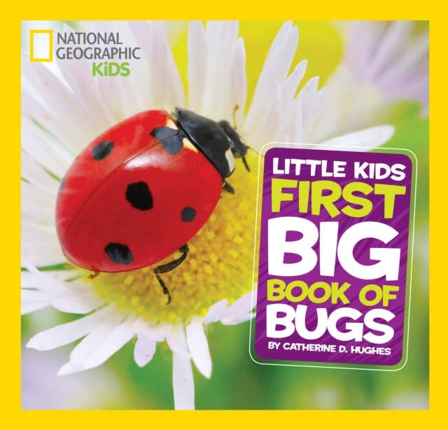 Little Kids First Big Book of Bugs, Hardback Book