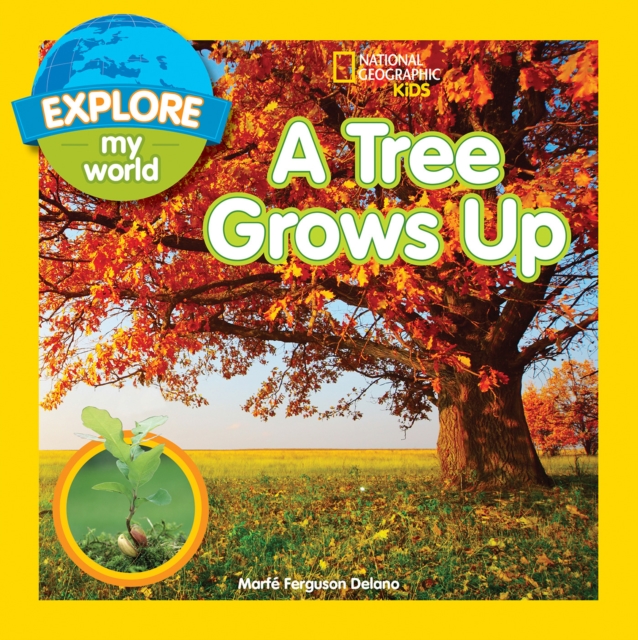 A Tree Grows Up, Paperback / softback Book