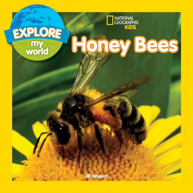 Explore My World: Honey Bees, Paperback / softback Book
