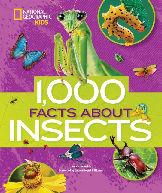 1000 Facts About Insects, Hardback Book