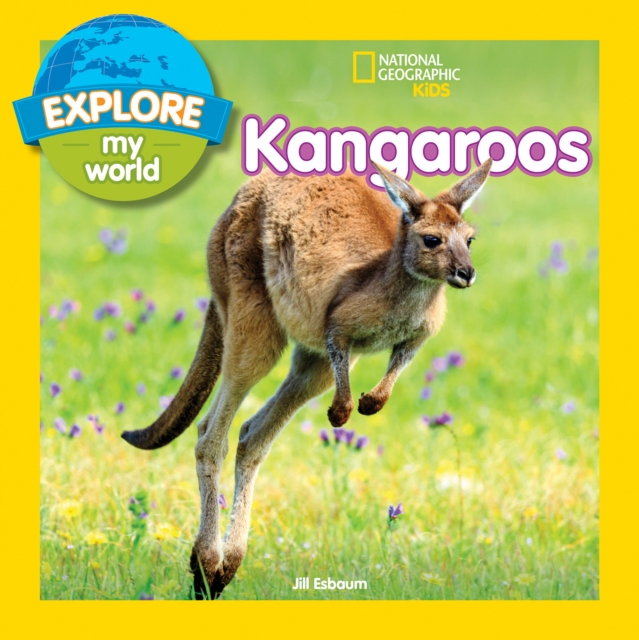 Explore My World: Kangaroos, Paperback / softback Book