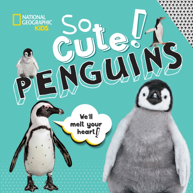 So Cute: Penguins, Hardback Book