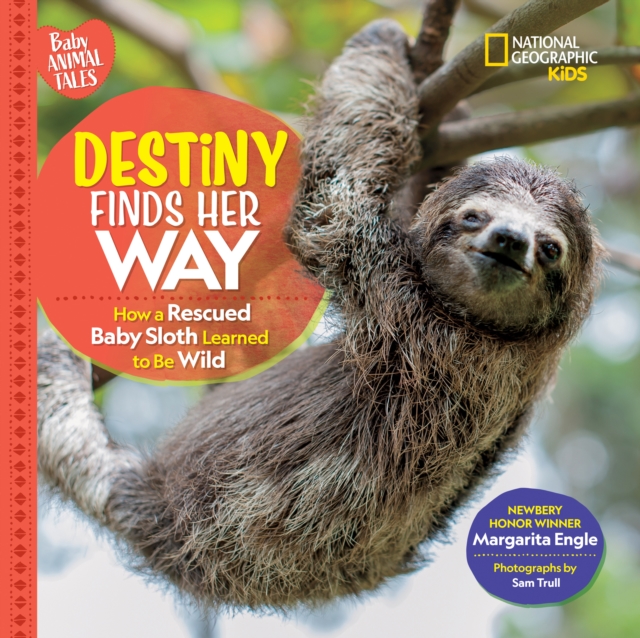 Destiny Finds Her Way, Hardback Book