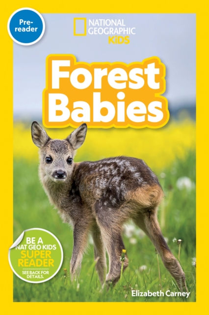 Forest Babies (Pre-Reader), Paperback / softback Book