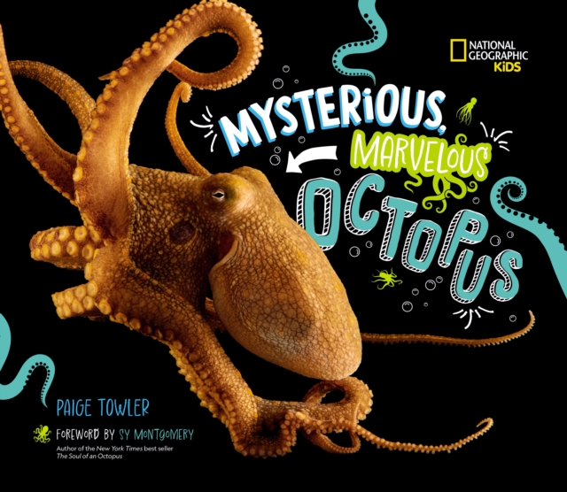 Mysterious, Marvelous Octopus!, Hardback Book