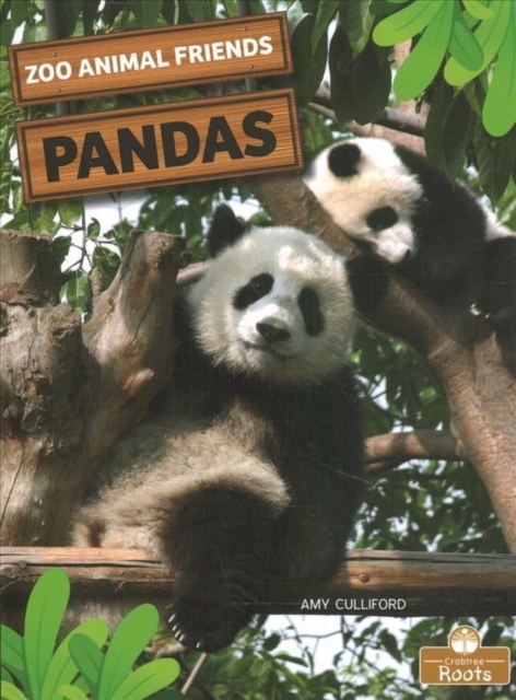 Pandas, Paperback / softback Book
