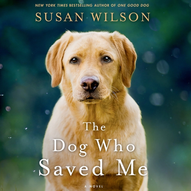 The Dog Who Saved Me : A Novel, eAudiobook MP3 eaudioBook