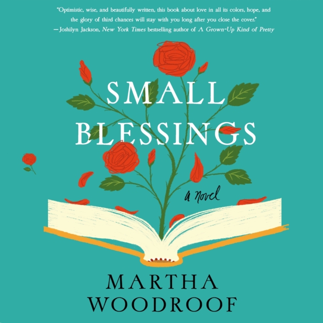 Small Blessings : A Novel, eAudiobook MP3 eaudioBook