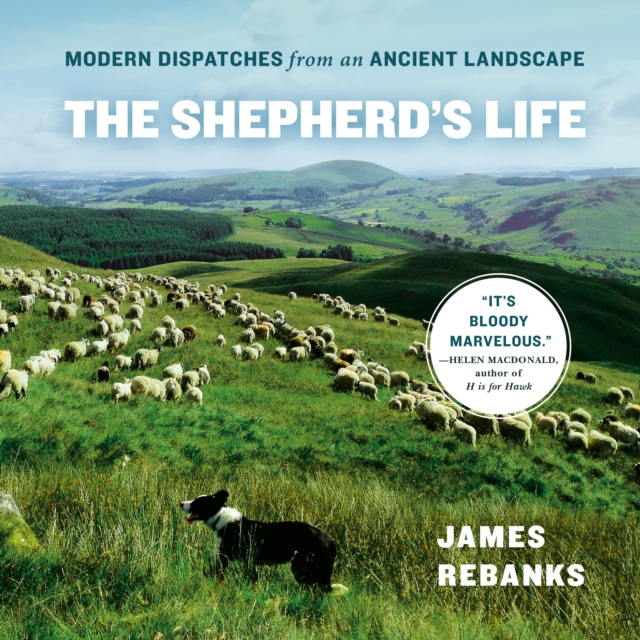 The Shepherd's Life : Modern Dispatches from an Ancient Landscape, eAudiobook MP3 eaudioBook
