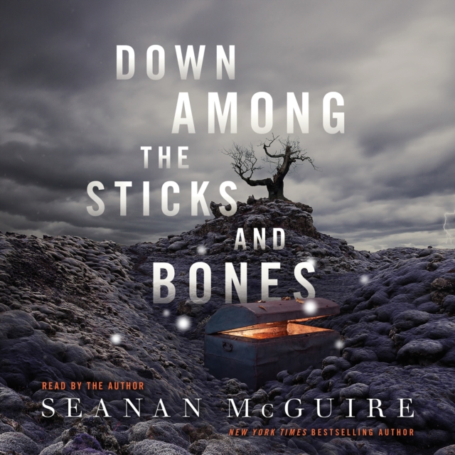 Down Among the Sticks and Bones, eAudiobook MP3 eaudioBook