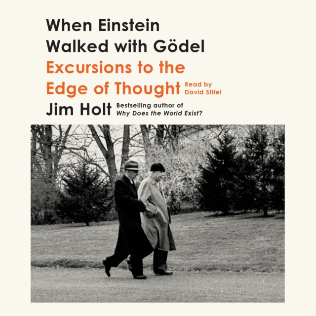 When Einstein Walked with Godel : Excursions to the Edge of Thought, eAudiobook MP3 eaudioBook