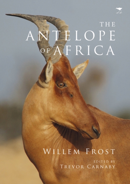 The antelope of Africa, Paperback / softback Book